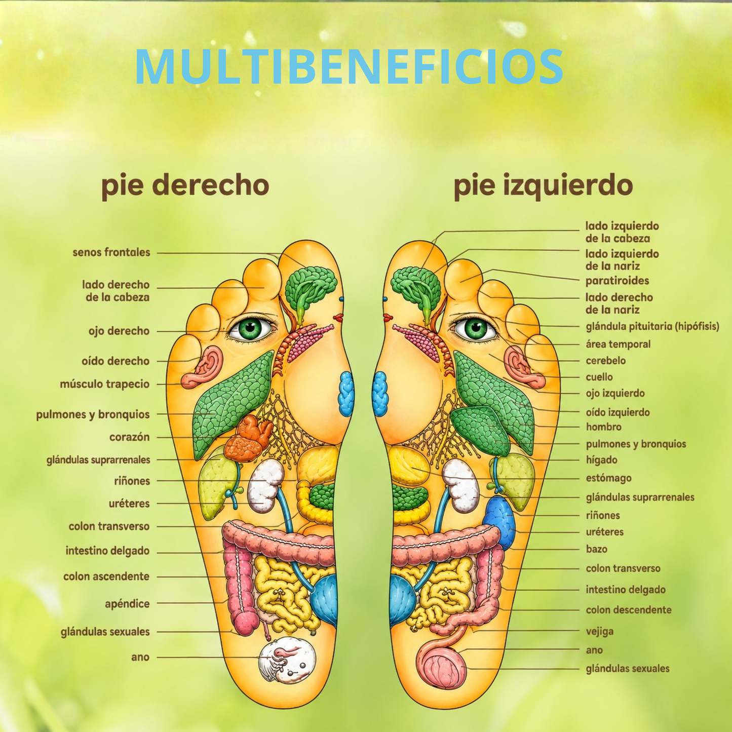 Sandalias de Reflexología