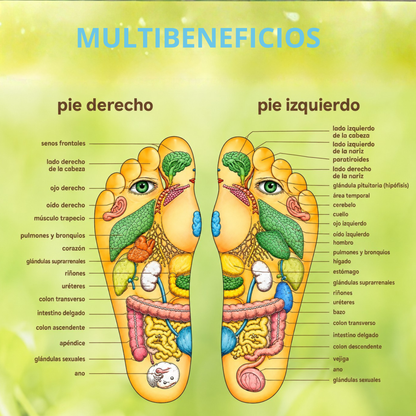 Sandalias de Reflexología